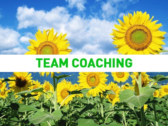 team coaching (Small)